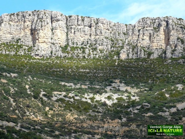 50-VERDON CANYON ALPS