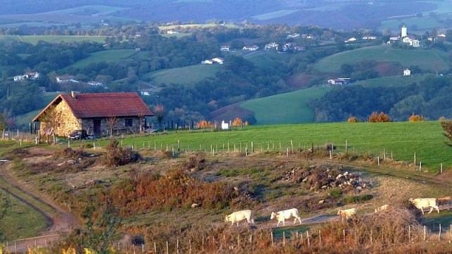 56-PAYS BASQUE COUNTRY