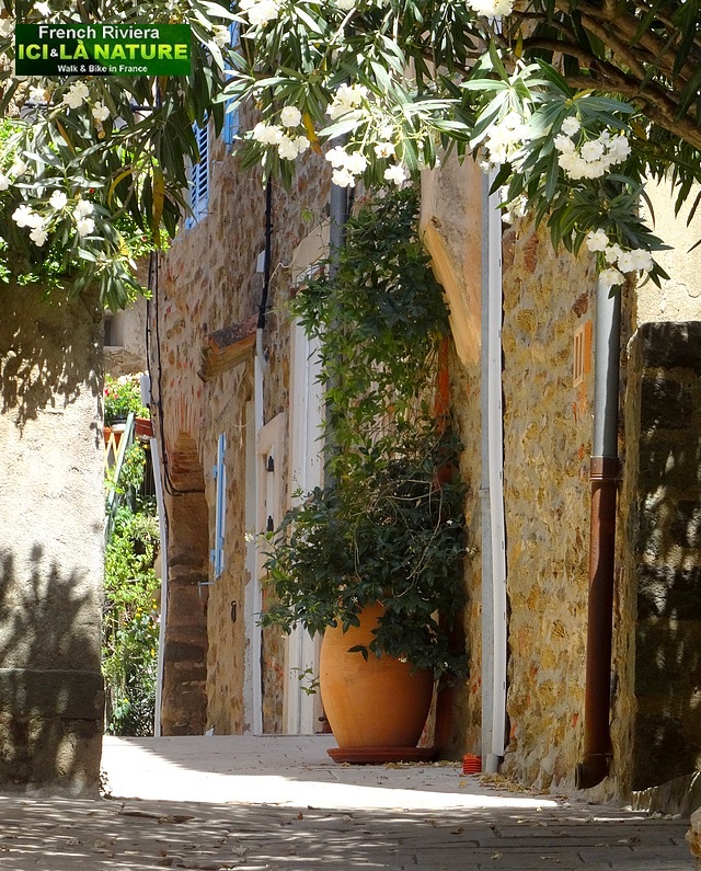 20-saint tropez gulf gassin