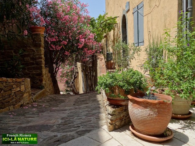 24-bike saint tropez gulf