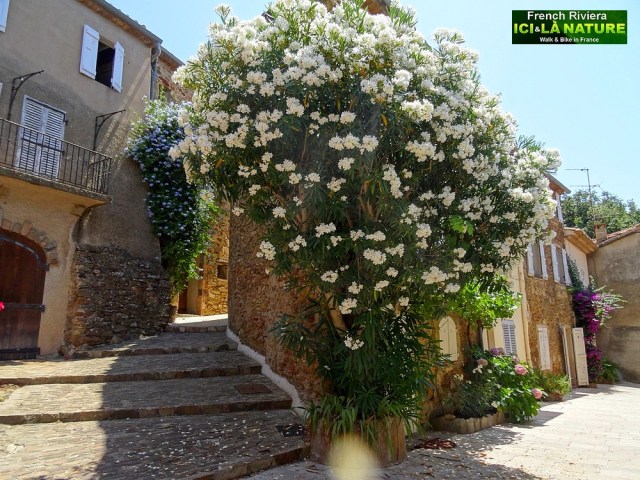 25-bike saint tropez gulf