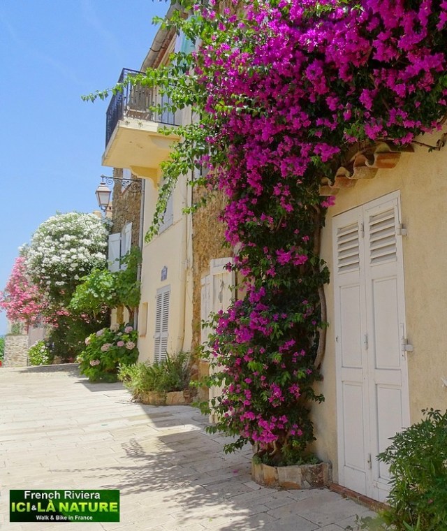 28-street saint-tropez gassin