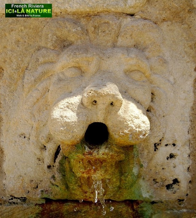 33-saint tropez gassin photo