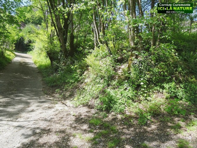 03-active holidays france