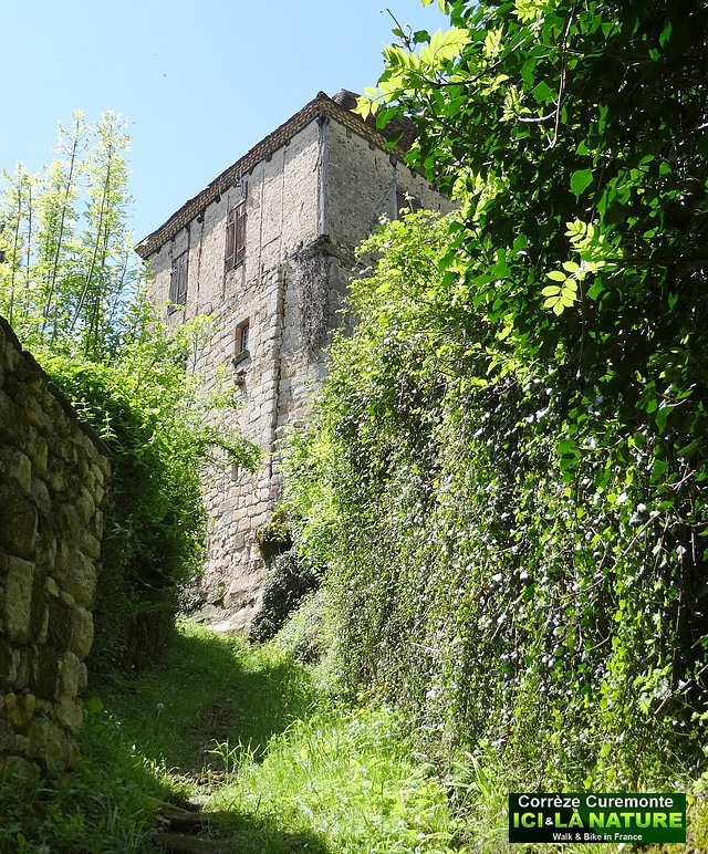 04-walking activity in correze france
