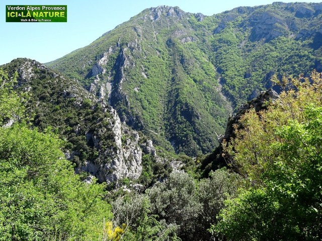 12-cycling tour provence verdon