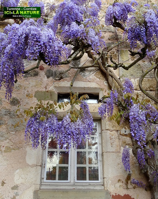 17-garden in france correze