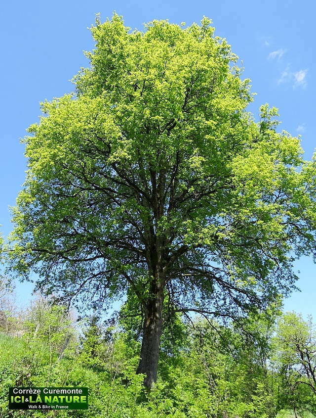 19-discover france correze