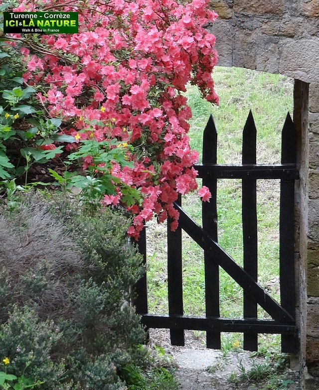 25-france rural correze