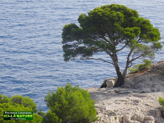 38-hiking provence mediterranean coastal path