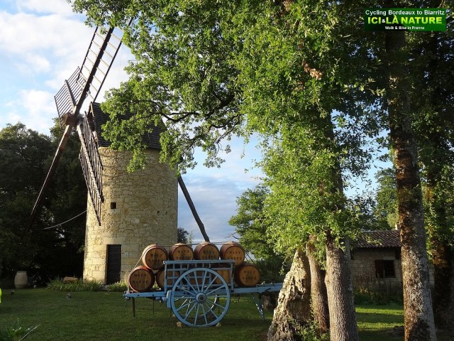 39-bike france bordeaux