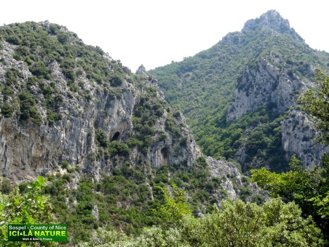 02-VACANCES MONTAGNE NICE