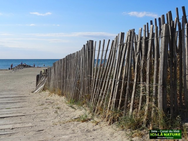 19-bassin de thau mediterranee