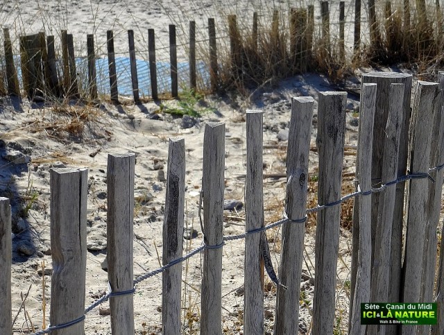 21-biking mediterranean sea france