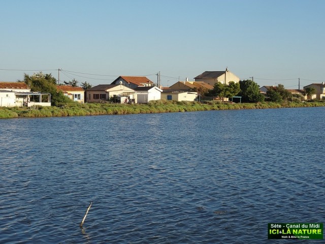 23-bassin de thau