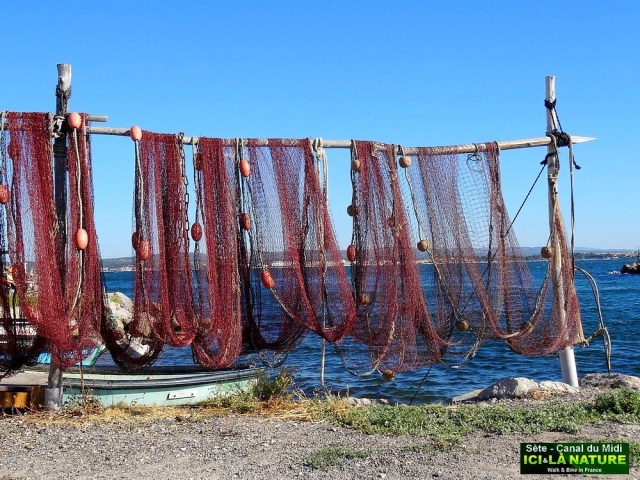 33-grand mare des canards sète brassens