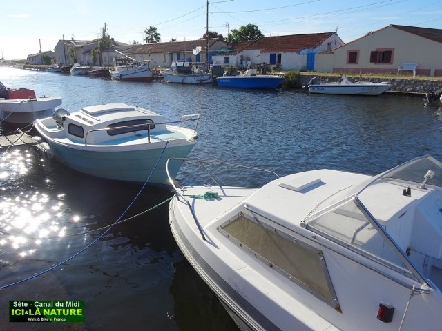 38-sète canal du midi