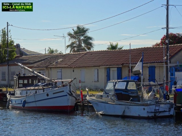 39-sète canal du midi
