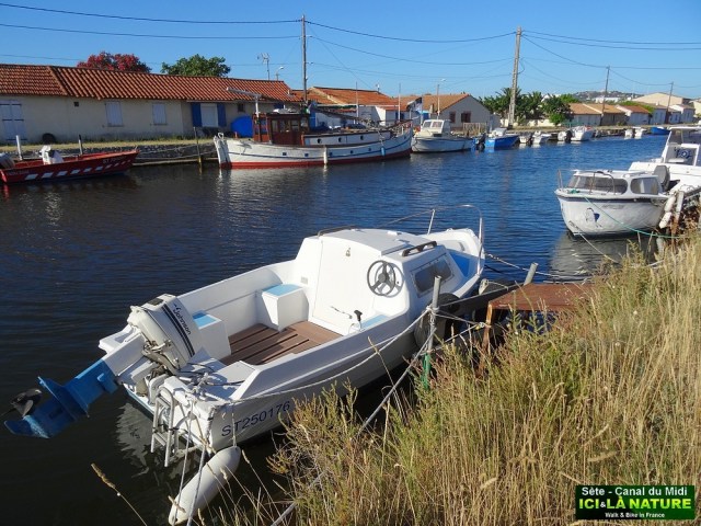 41-canal du midi sète
