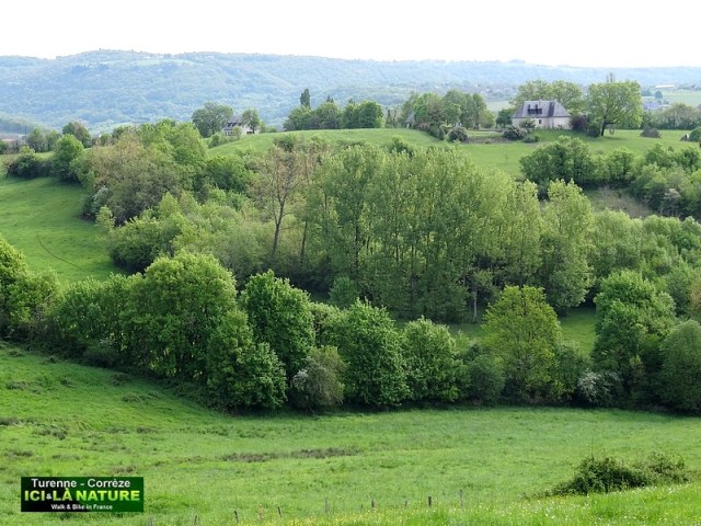 49-paysage landscape rural france