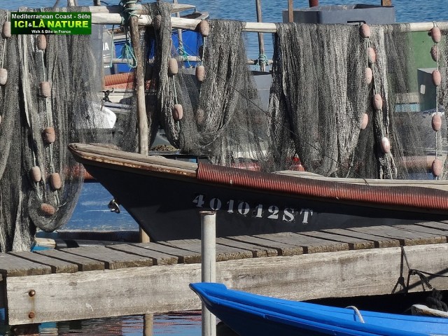08-bIKING FRANCE CANAL MIDI