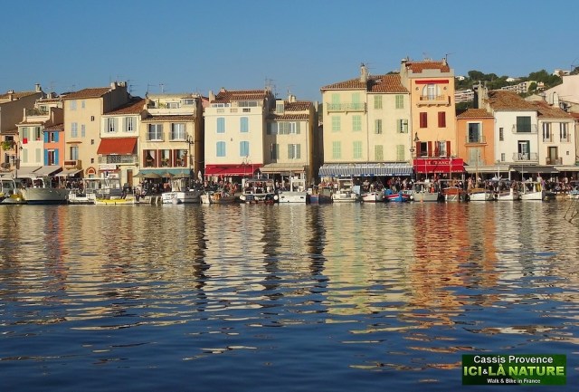 16-cassis port