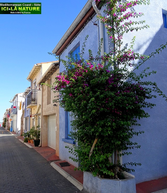 42-SETE QUARTIER DE LA POINTE COURTE