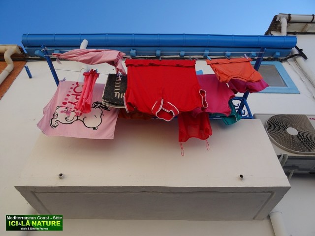 46-QUARTIER DE SETE SUD DE FRANCE