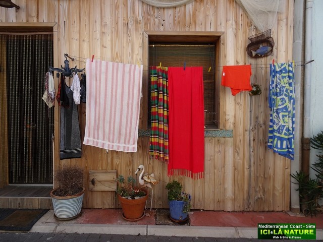 53-BIKING SOUTH FRANCE