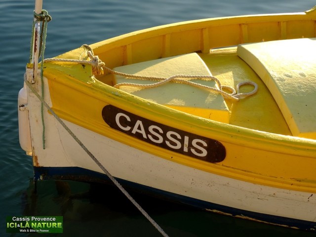 54-cassis