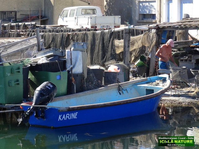 60-BIKING TOUR CANAL DU MIDI