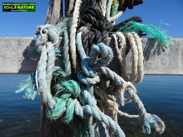 61-CYCLING THE CANAL DU MIDI