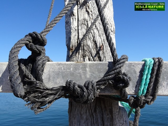 62-BIKING TRIP SOUTH FRANCE