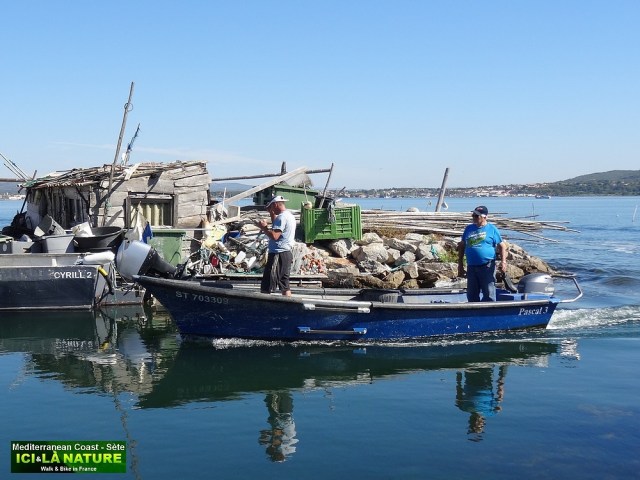 65- BRASSENS MARE AUX CANARDS SETE