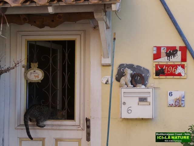 71-SETE QUARTIER DE LA POINTE COURTE