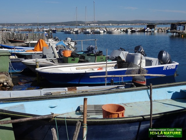 75-CYCLING TRIP SOUTH FRANCE