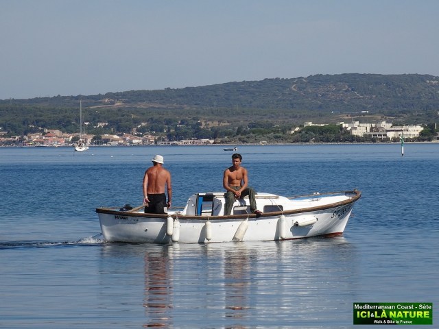 78-BRASSENS COPAINS D ABORD MARE AUX CANARDS