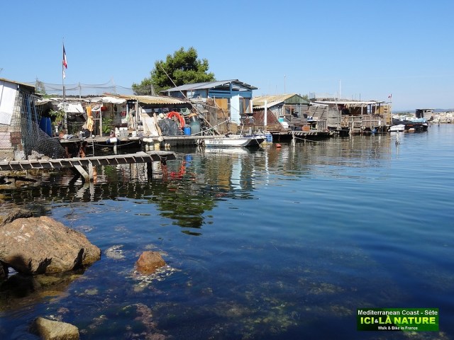 80-CYCLING TRIP SOUTH FRANCE