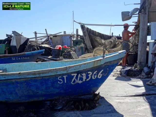 85-sete mer mediterranee