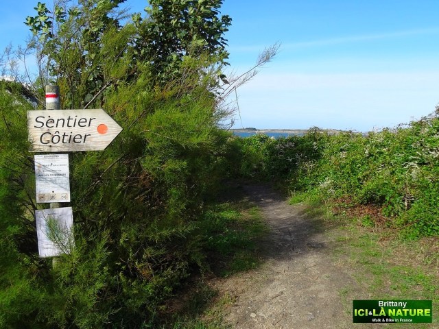 12-walk on coastal path brittany