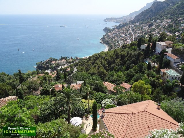 16-biking tour monaco