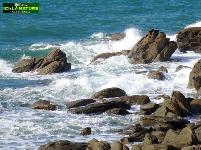 17-image picture brittany