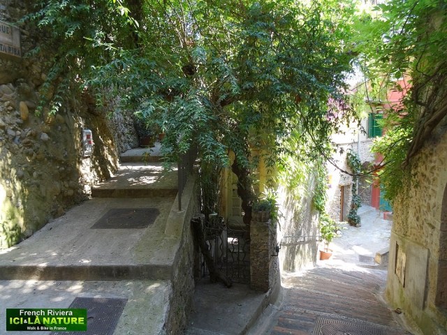 21-cycling trip nice monaco