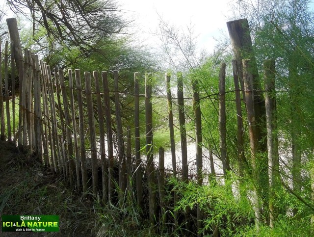 23-coastal path atlantic ocean