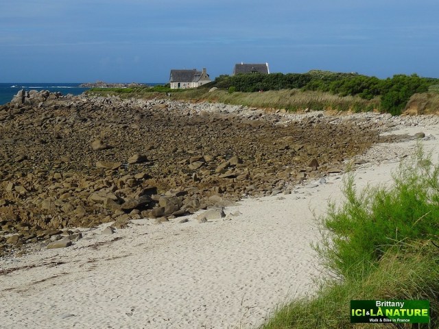 24- brittany landscape