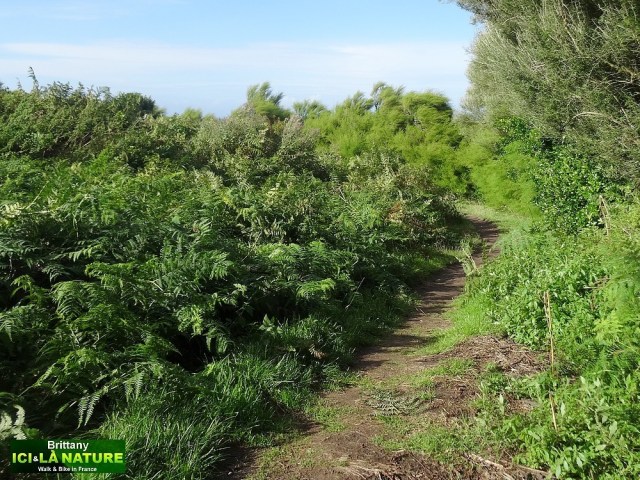 27- où aller en bretagne