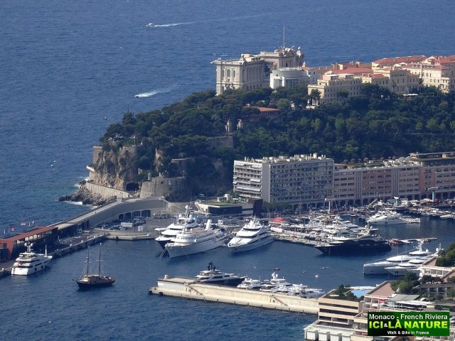 30-prince palace monaco