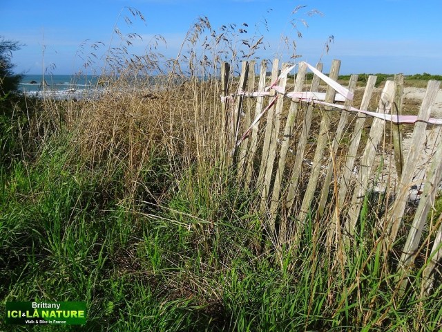 33-hiking trip brittany france