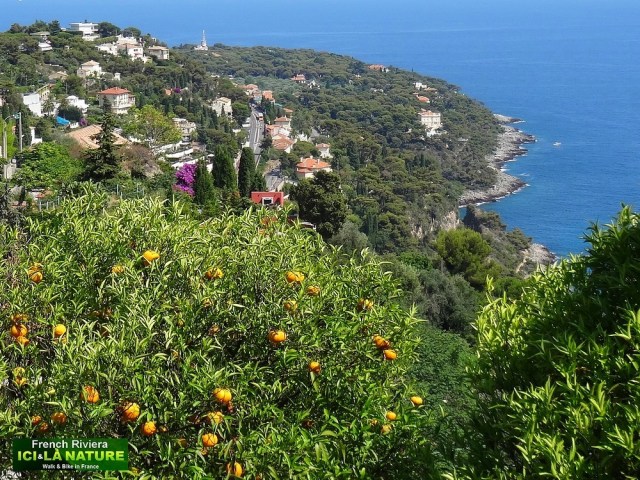 52-paysage cote azur