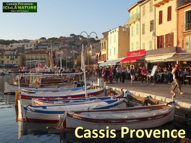 cassis provence